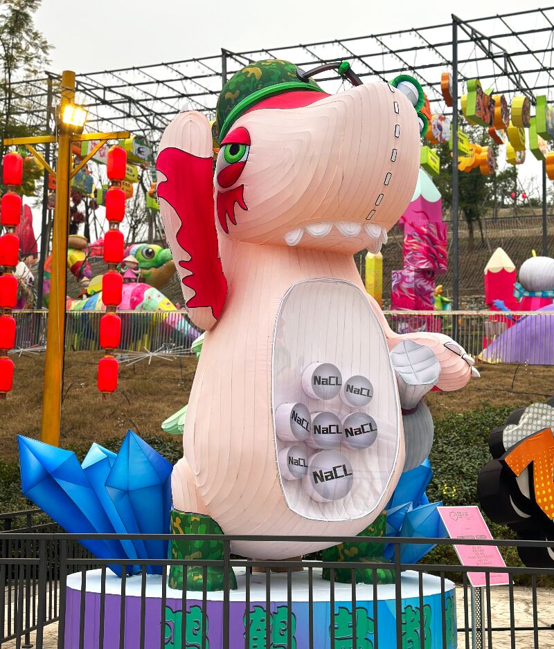 恐龙营地IP 13太保