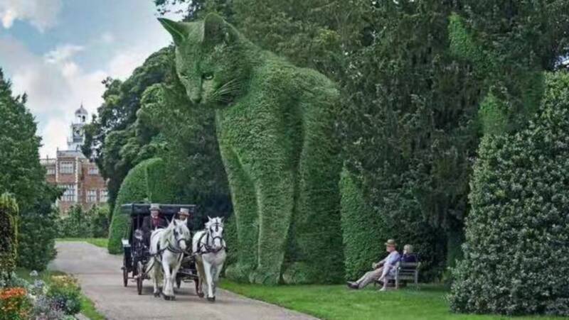 从园林植物的角度来看，绿色雕塑在园林中有哪些作用？