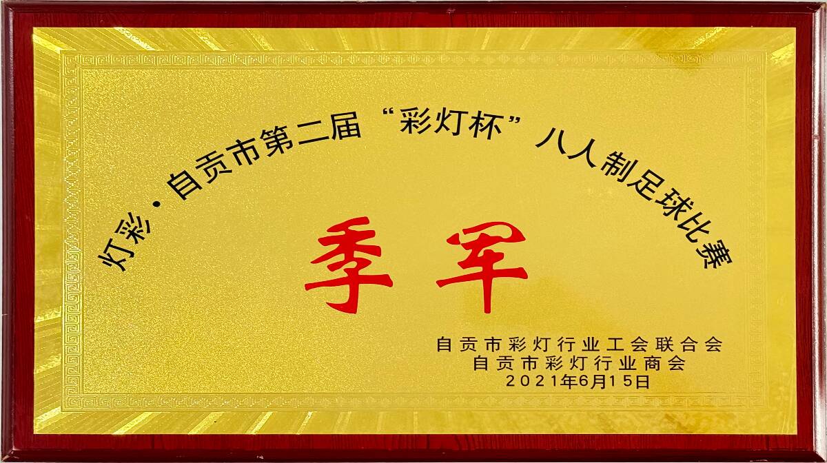 华龙自贡第二届“彩灯杯”八人制足球比赛季军
