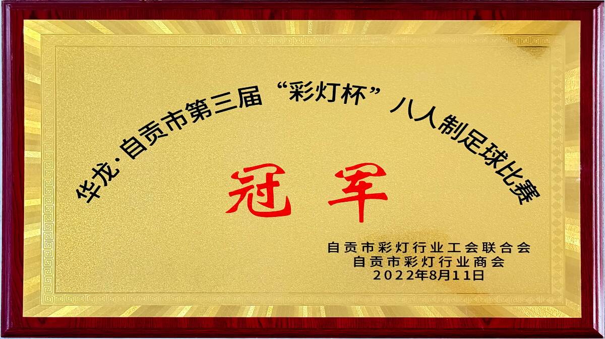 华龙自贡第三届“彩灯杯”八人制足球比赛冠军